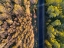 Picture of DIVIDE