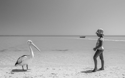 Picture of MEKDI AND THE PELICAN