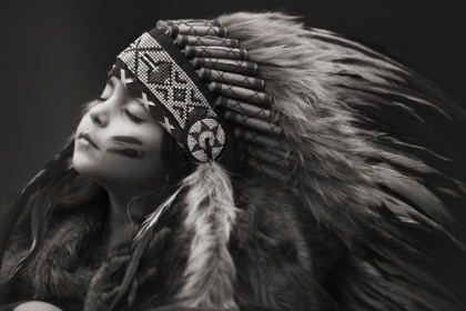 Picture of CHIEF OF HER DREAMS