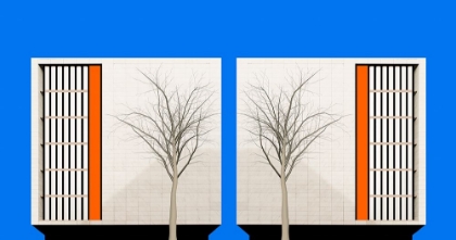 Picture of TWINS
