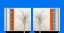 Picture of TWINS