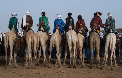 Picture of WATCHING THE GEREWOL FESTIVAL FROM THE CAMELS - NIGER