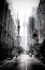 Picture of ON THE STREETS OF TORONTO