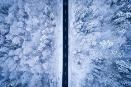 Picture of A FROSTY ROAD