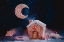 Picture of WINTER MOON