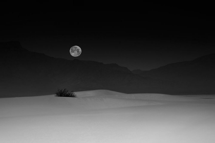 Picture of FULL MOON OVER WHITE SANDS