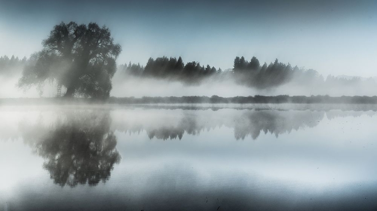 Picture of FOGGY DAY