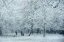 Picture of WINTER DREAM