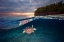 Picture of GREEN TURTLE WITH SUNSET