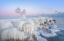 Picture of ICE WONDERLAND