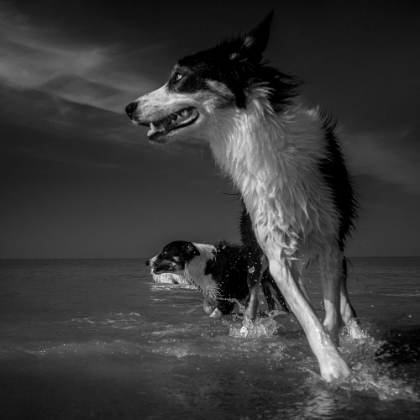 Picture of TAKING A TURN AT THE SEA