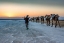 Picture of SALT TRANSPORTATION