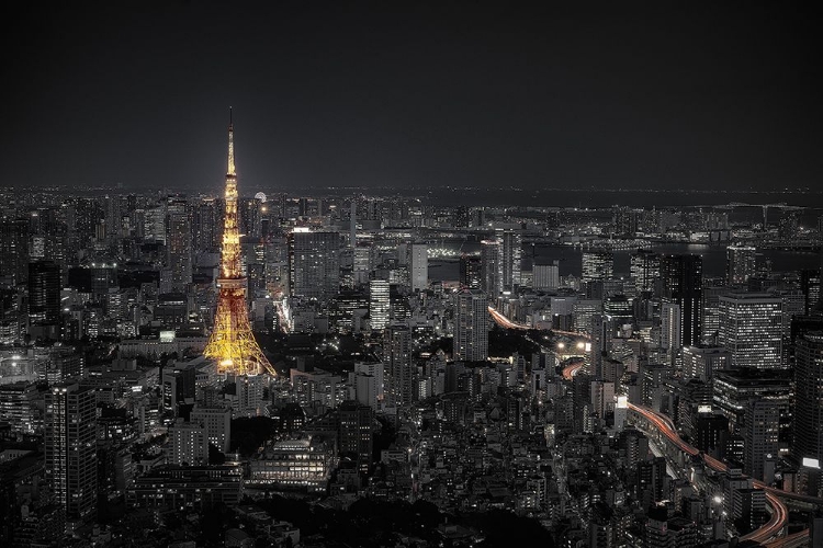 Picture of TOKYO AT NIGHT