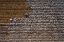 Picture of COTTON WORLD
