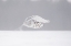 Picture of THE TAKE-OFF