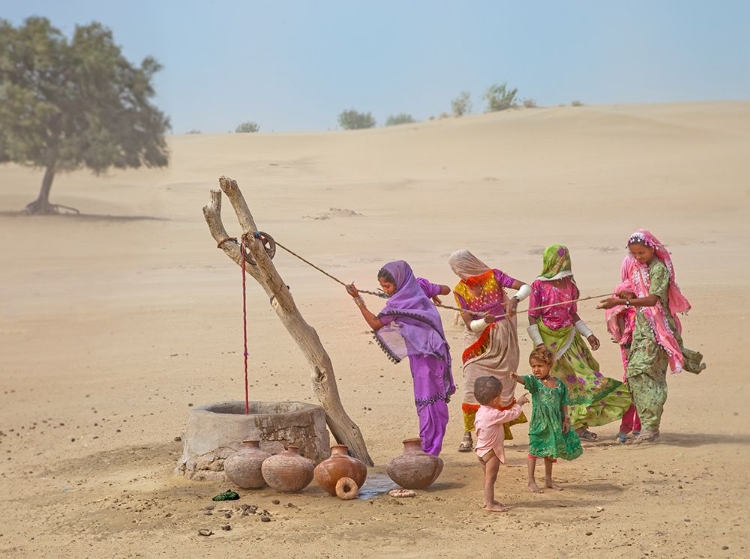 Picture of WATER PULLERS