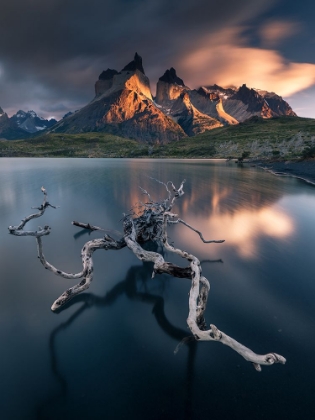 Picture of TORRES DEL PAINE