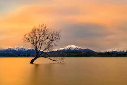 Picture of MORNING GLOW OF THE LAKE WANAKA