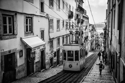 Picture of TRAM IN LISBON