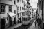 Picture of TRAM IN LISBON