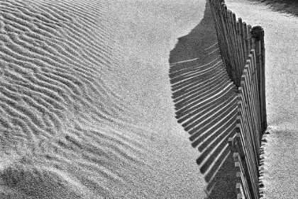 Picture of CASTLES IN THE SAND