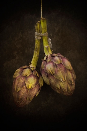 Picture of ARTICHOKE