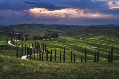 Picture of TUSCANY - CRETE SENESI