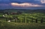 Picture of TUSCANY - CRETE SENESI