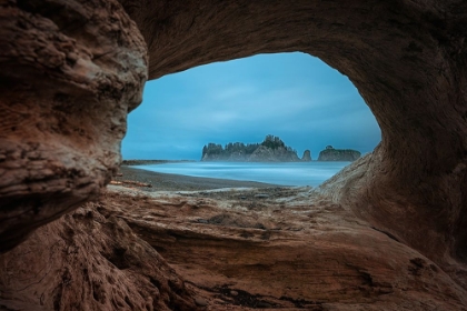 Picture of VIEW FROM A HOLLOW TREE