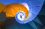 Picture of SNAIL STAIRS