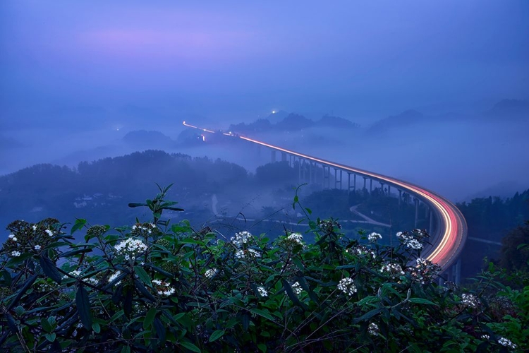 Picture of BRIDGE IN BLUE HOUR