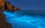 Picture of BIOLUMINESCENT BAY