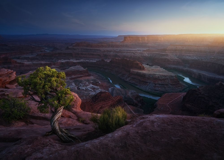 Picture of DEADHORSE LAND