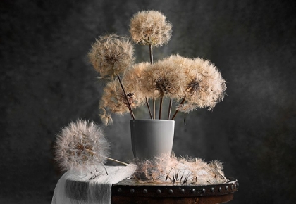 Picture of DANDELION SEED POD