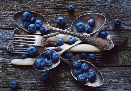 Picture of SPOONSABLUEBERRY