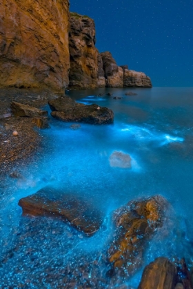 Picture of BIOLUMINESCENT BAY