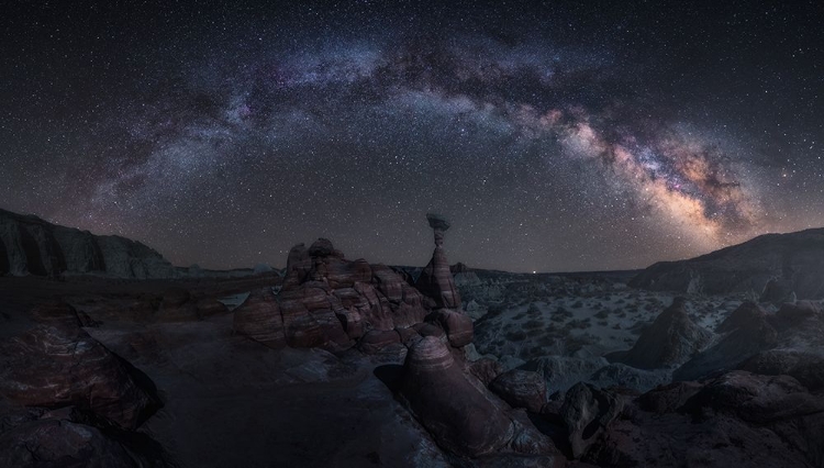 Picture of TOADSTOOL NIGHT