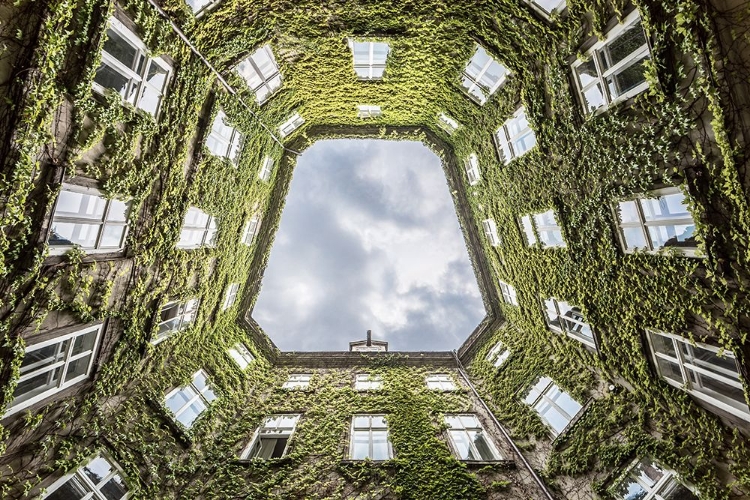 Picture of VIENNA COURTYARD