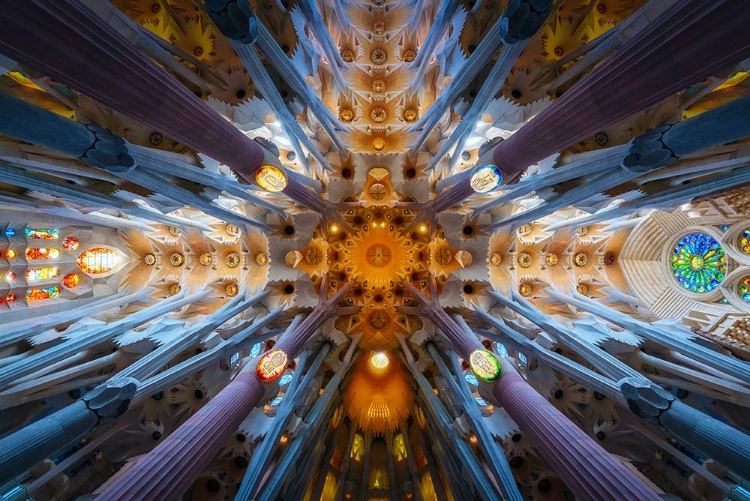 Picture of SAGRADA