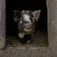 Picture of PLEASE-COME IN!