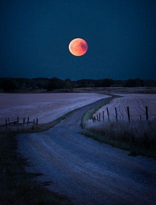 Picture of BLOODMOON 2018