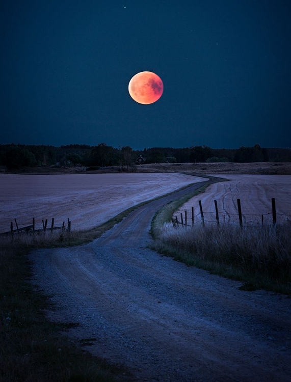 Picture of BLOODMOON 2018