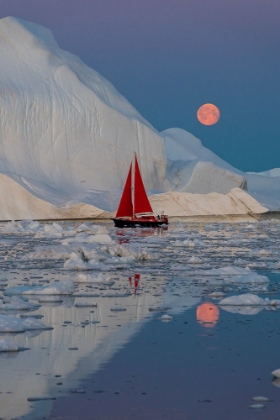 Picture of GREENLAND NIGHT