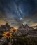 Picture of EVEN THE FLOWERS SEEM TO BE FASCINATED BY THE STARS