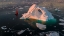 Picture of THE SMALL RED BOAT