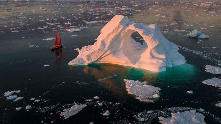 Picture of THE SMALL RED BOAT