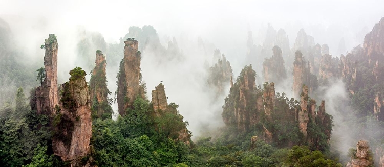 Picture of CLOUD-SHROUDED ZHANGJIAJIE