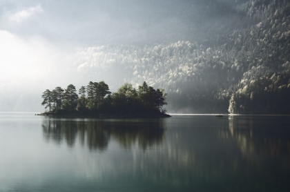 Picture of MORNING FOG CLEARING