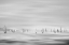 Picture of UNTITLED