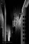 Picture of DARK CITY